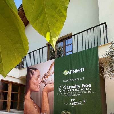 Garnier Green Beauty
